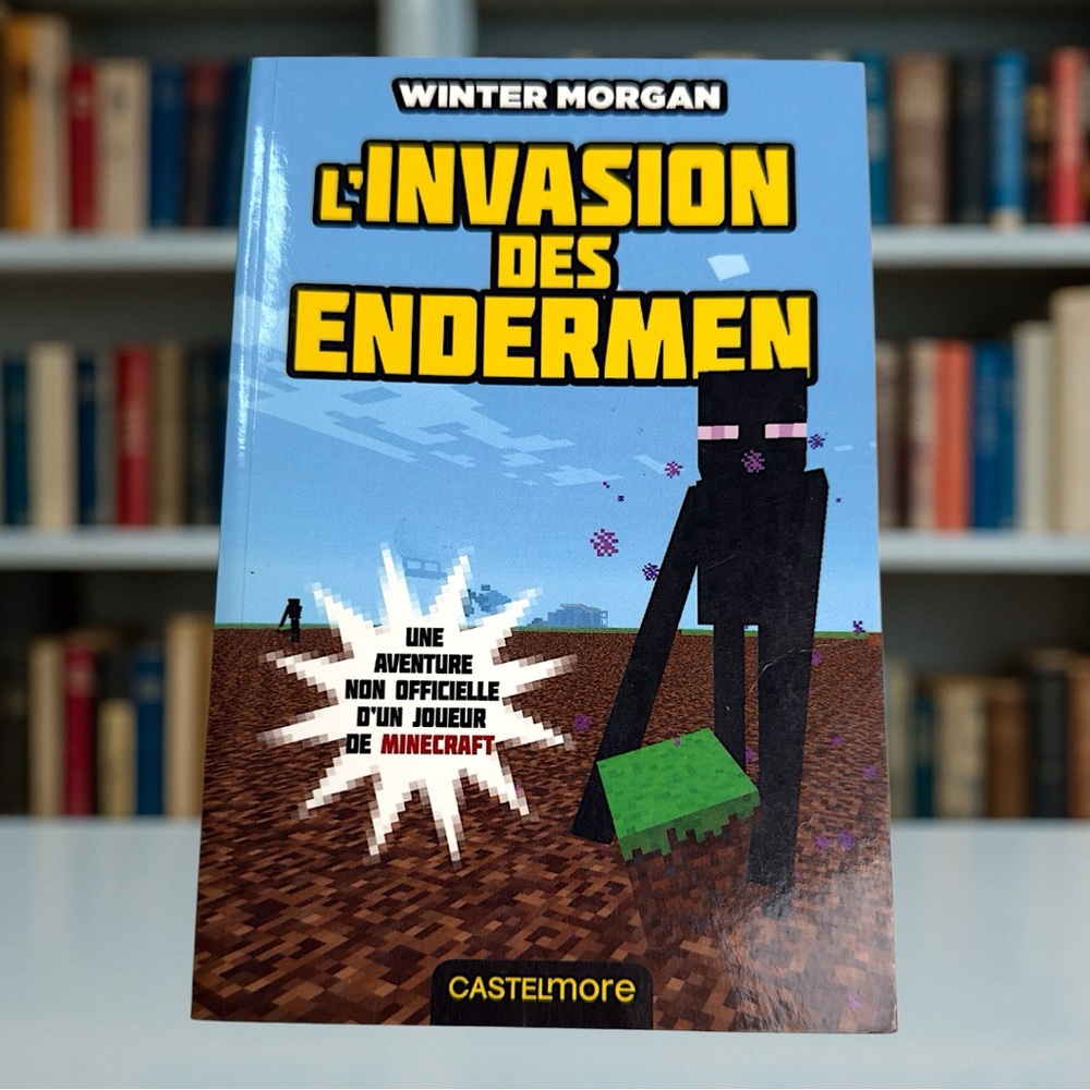 L'Invasion des Endermen